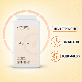 High strength lysine supplement