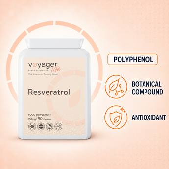 resveratrol capsules